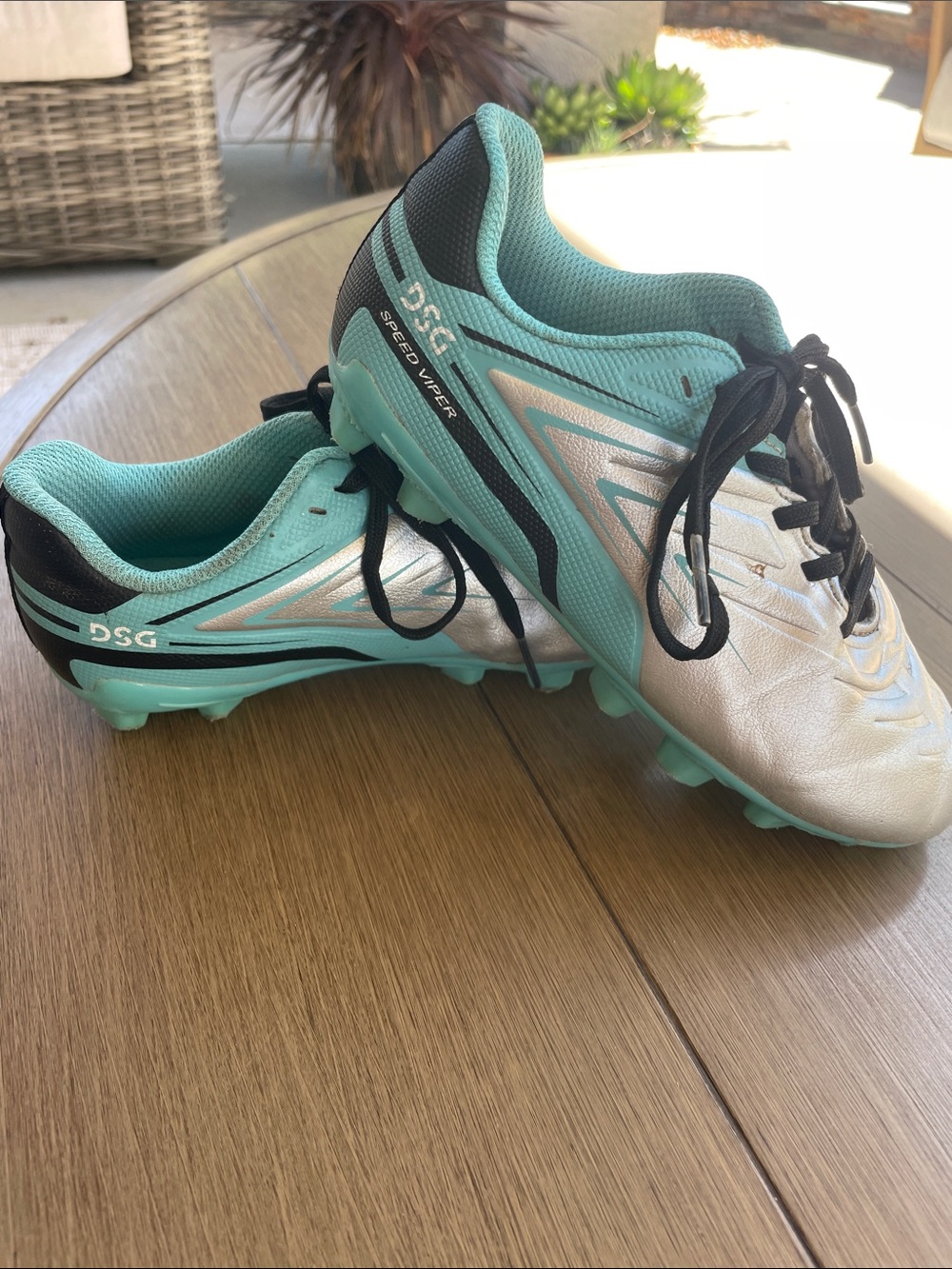 DSG Silver Sneakers with Teal Lining and Black Laces